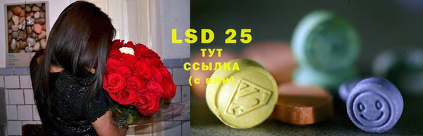 ешки Алзамай