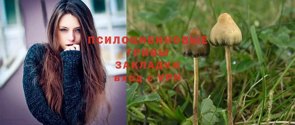 2c-b Алексеевка