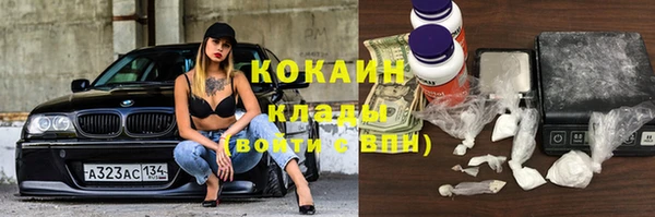 ешки Алзамай