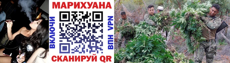 Каннабис MAZAR Северская